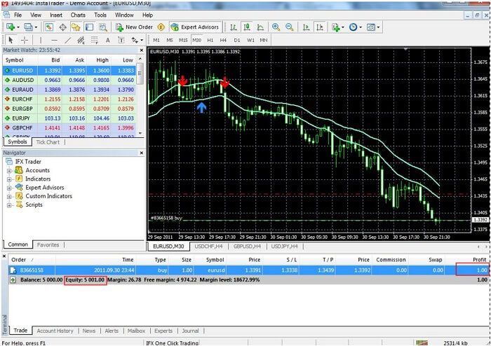 Profit Distribution